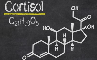 Cortisolo e insulino resistenza