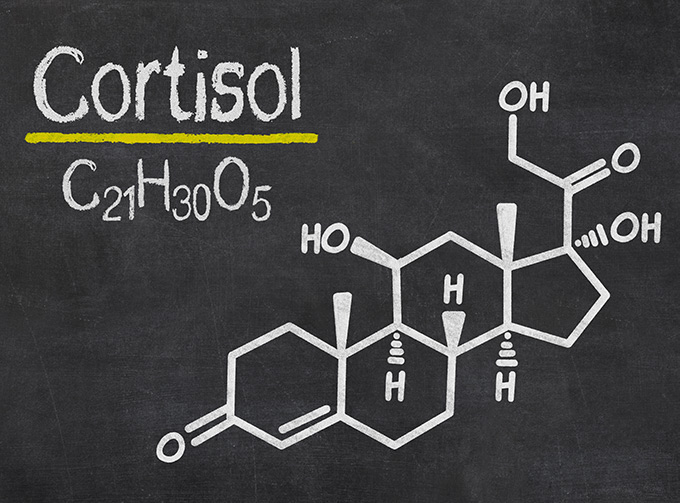 Cortisolo e insulino resistenza